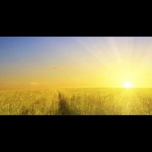 Meet your Posher, Bee